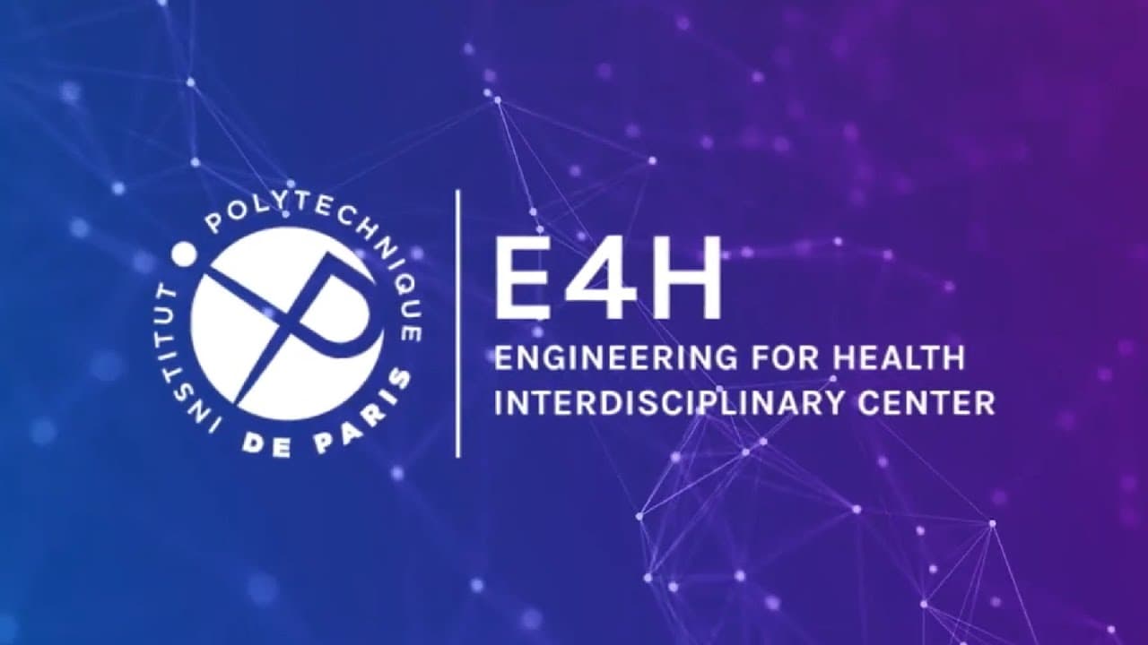 E4H Conference Fellowship